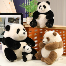 ���滨����؈���Є���@�o��Ʒ�ɐ۴���؈ë�q��߃�ͯ�Y�����ż