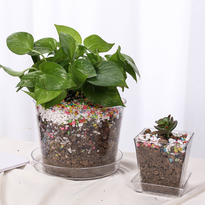 塑料透明圆形花盆 高透仿玻璃鲜花桶 竹月季水培器皿客厅插花摆件