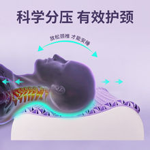 TPE�ڿƼ��ߏ����z�����z������͸�����^�o�i��������׃�����z��