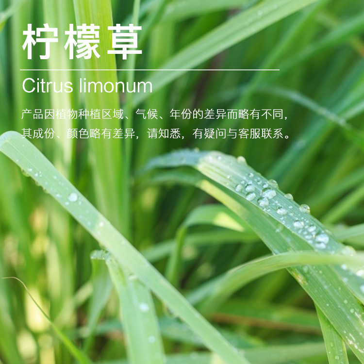 Ʒ5ml/ƿ ʲݾ   éСӦ ӭ