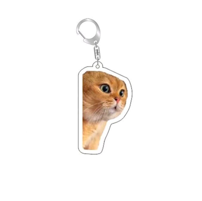Colgar adornos Amazon popularidad en línea gatos gatos acrílicos llaveros escultura de arena interesante memes gatos gatos pequeños
