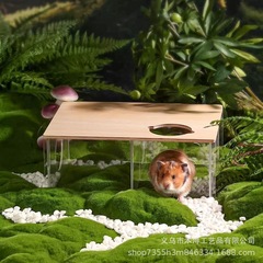 透明な三部屋の木の家の悲惨なハムスターのアクリル造景プラットフォームの金糸熊の花の枝のネズミの小人は部屋を避けます。