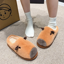 A966��������ë������Ь