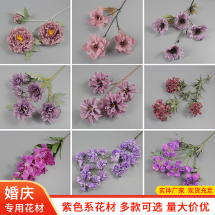 ��Y����ɫϵ���滨ˇ��c��������õ�廨���~���F���~���~�ٻ�