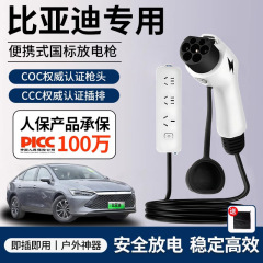 新エネルギー放電ガン屋外放電器キャンプポータブル電気プラグインBYD吉利奇瑞ユニバーサル