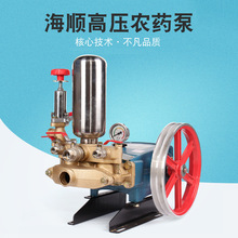 台湾合资海顺380型高压农药泵直径38mm柱塞泵多功能清洗机