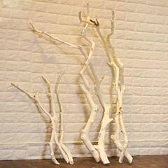 乾いた枝の装飾乾いた枝の乾いた花の芸術の枯れ木の木の天然の皮の地色の枝の壁掛けのハンガーの置物