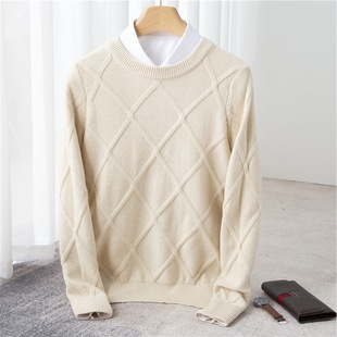 2025 Autumn and Winter New Men's Round Neck Solid Color Thickened Sweater Diamond Loose Youth Base Sweater Winter Men's
