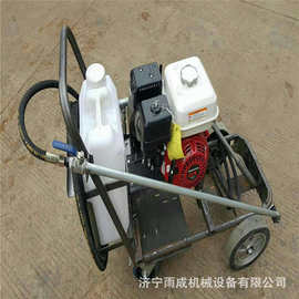 沥青洒布机 路肩施工乳剂喷洒器 手推喷洒车 图片 参数