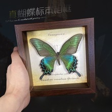 ������˱���� ľ�|�b�DIY�͹����[̨�Ҿ��b����նY��YƷ