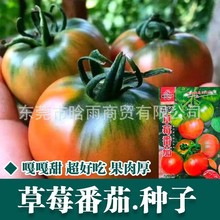 ˮ����ݮ���ѷN�ӳ�������|���FƤ���ӷN���̨���ﴺ�ﶬ�ļ�