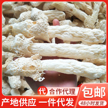 貴州紅托竹蓀干貨2斤 織金竹蓀菌菇干品 竹笙 菌菇食用農產品