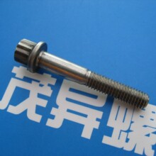 �������՘�׼��ʮ������˨AS21420