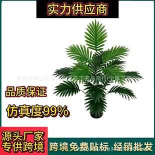 ����Gֲ���Կ羳���W�͏d�b٘�ɢβ���ҾӔ[�O�Fˇ�辰�b�