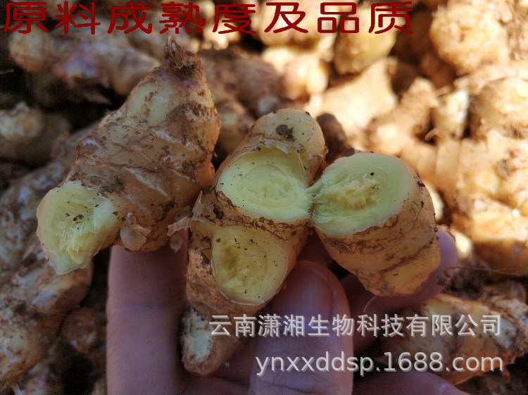 Dried Ginger Slices Gan Jiang 250g Small Yellow Ginger from Yunnan for Tea and Cooking quality and texture