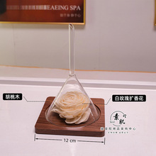 ����ľ����©���㹤����޹����չ��ԇ�㲣������spa����U����