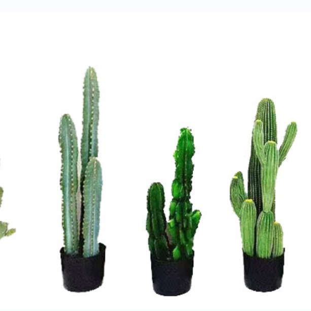 Simulación de cactus cactus en maceta gran planta tropical falsa columna de cactus escena interior decoración de ventana