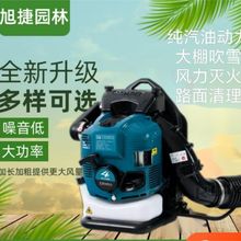 厂家货源大棚吹雪机背负式吹风机风力灭火机园林落叶除尘器吹风机
