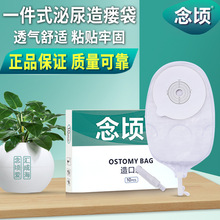 念顷一件式尿路造口膀胱全切接尿袋肾改道尿袋泌尿引流袋防逆流