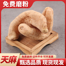 批发天麻中药材 散装天麻个天麻片天麻中药材免费磨粉产地大货