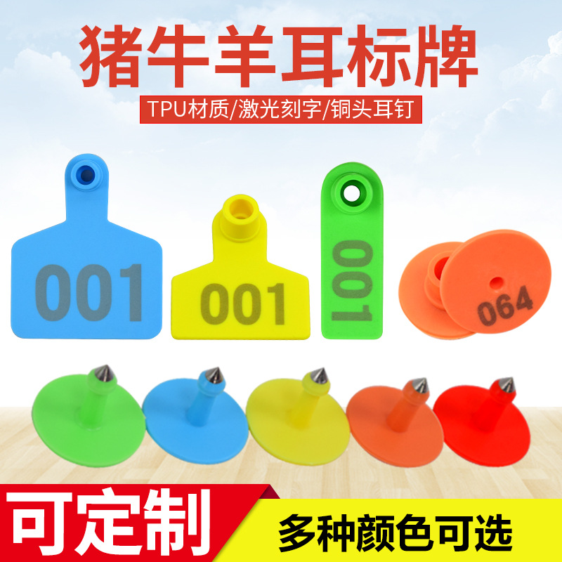 Etiqueta de oreja de cerdo, ganado y oveja con palabras Etiqueta de oreja de oveja etiqueta de número Etiqueta de oreja de oveja con palabras Etiqueta de oreja de oveja