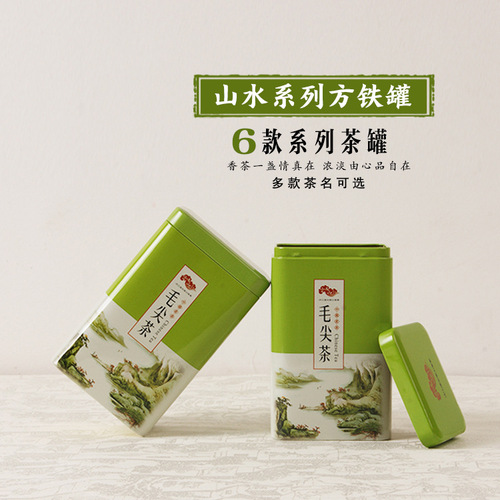 100g square small can tea box tin can gift box jasmine biluochun longjing maojian universal