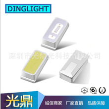 3014������� �ן� ů�� �t �{�� ��G �Sɫ ���{ ���Ϲ� led����