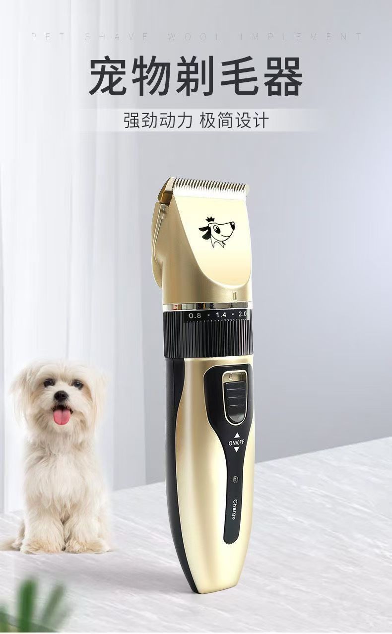 765b3415-fb0c-4f7e-888c-24303dd00dac.jpe