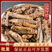 1000g���x��ș�ĬF؛���l������؛Λ�Ƹ���������x���x�� �ɻ��x