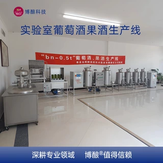 葡萄酒实验室生产线  实习实训研发研学  葡萄酒酿造生产线设备