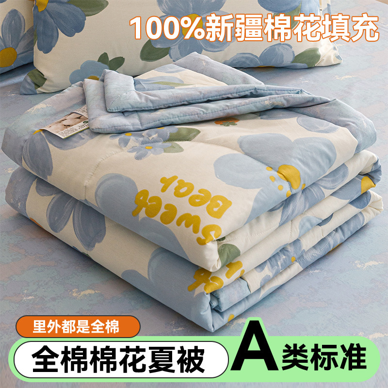 Edredón de aire acondicionado lavable de algodón de clase A, núcleo de edredón de algodón de Xinjiang, edredón de algodón impreso de verano, edredón de regalo doble