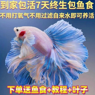 ̩�����~�^�pС�͌�����B�ͻֳһ�����˻鼆���~�ÿ���ˮ�W�t