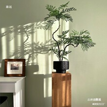 ��麾Gֲ�p����ʽ�U������ֲ��С�����Ծ����P�ٻ��[������ֲ�q