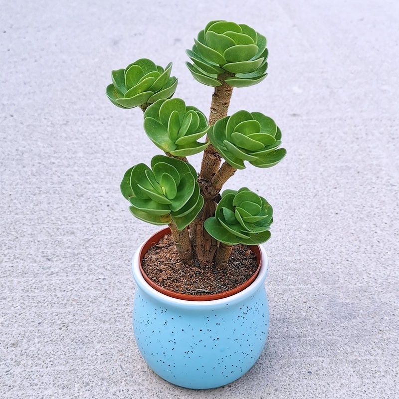 038fc3f4-0de9-468c-8889-162943f303a7.jpe