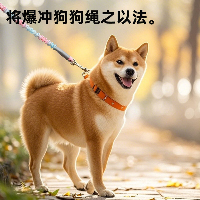Cuerda de tracción para perros transfronteriza Cuerda para pasear perros Cuerda de tracción para mascotas Cuerda elástica Cuerda para perros a prueba de explosiones y anti-tracción Productos para mascotas