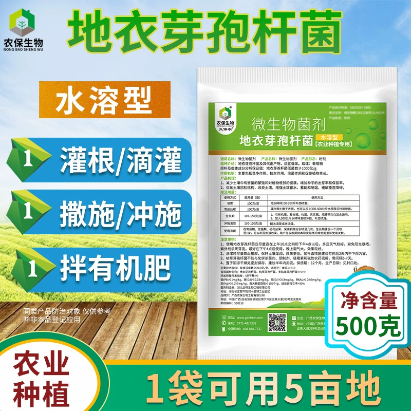 Bacillus licheniformes для выращивания микроорганизмов для улучшения корней почвы