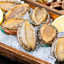 鲍鱼鲜活冷冻新鲜活鲍超特大海鲜水产加热即食小鲍鱼火锅食材批发