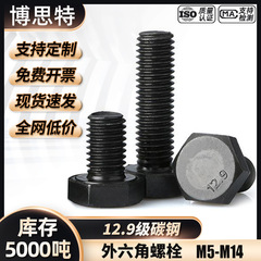 厂家直销12.9级高强度外六角螺丝黑色地脚螺丝碳钢六角头螺栓大全