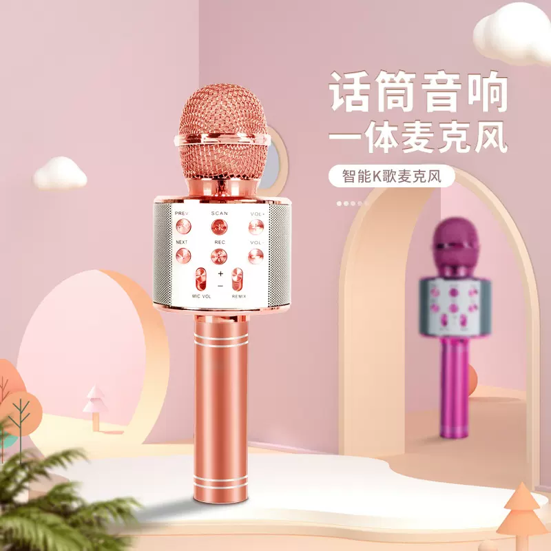 858无线K歌一体音响麦克风卡拉okktv直播蓝牙话筒户外便携麦克风