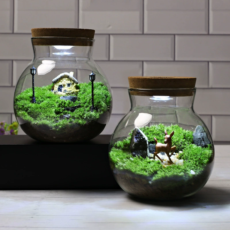 С легкой O-бутылкой Микропейзаж из мха DIY материальная упаковка искусственное Одомашнивание Седоволосый Мох Зеленый микропейзаж