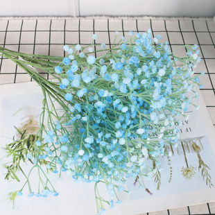 �������z3��M���� �b����ϻ�С���M���� �҃Ȼ�Yܛ�z������