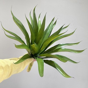 ���������m���m�Gɫ��Ƥ�mֲ��[���b�����҃ȼپGֲܛ�b�쾰