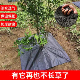 亚马逊跨境防草布透气地膜黑色PP 除草保湿布 园艺地布生态除草布