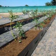 ۱ϩPPNֲ Ҵõrл{ݮݮ߲ o