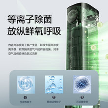 格力（GREE）【等离子除菌】家用空调扇加湿冷风扇水冷降温