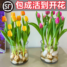 ������N��ˮ�໨�ܾGֲ�����ذ�ֲ���҃����ļ��_�����B�ͺ����N