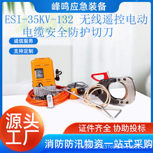 ESI-35kV-132 ob늄|ȫoеwʽ|