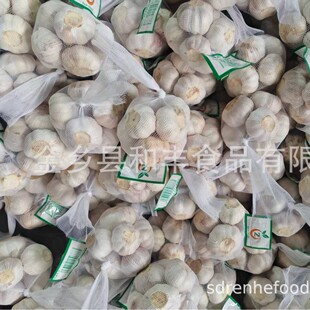 С���b ����GARLIC������ă�Դ�^���l�r��S�ҹ�؛�����Ж|