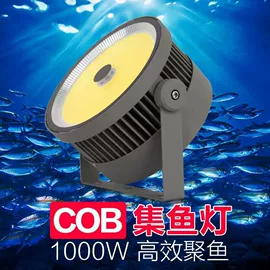 蓝牙音箱;LED集鱼灯;筋膜枪