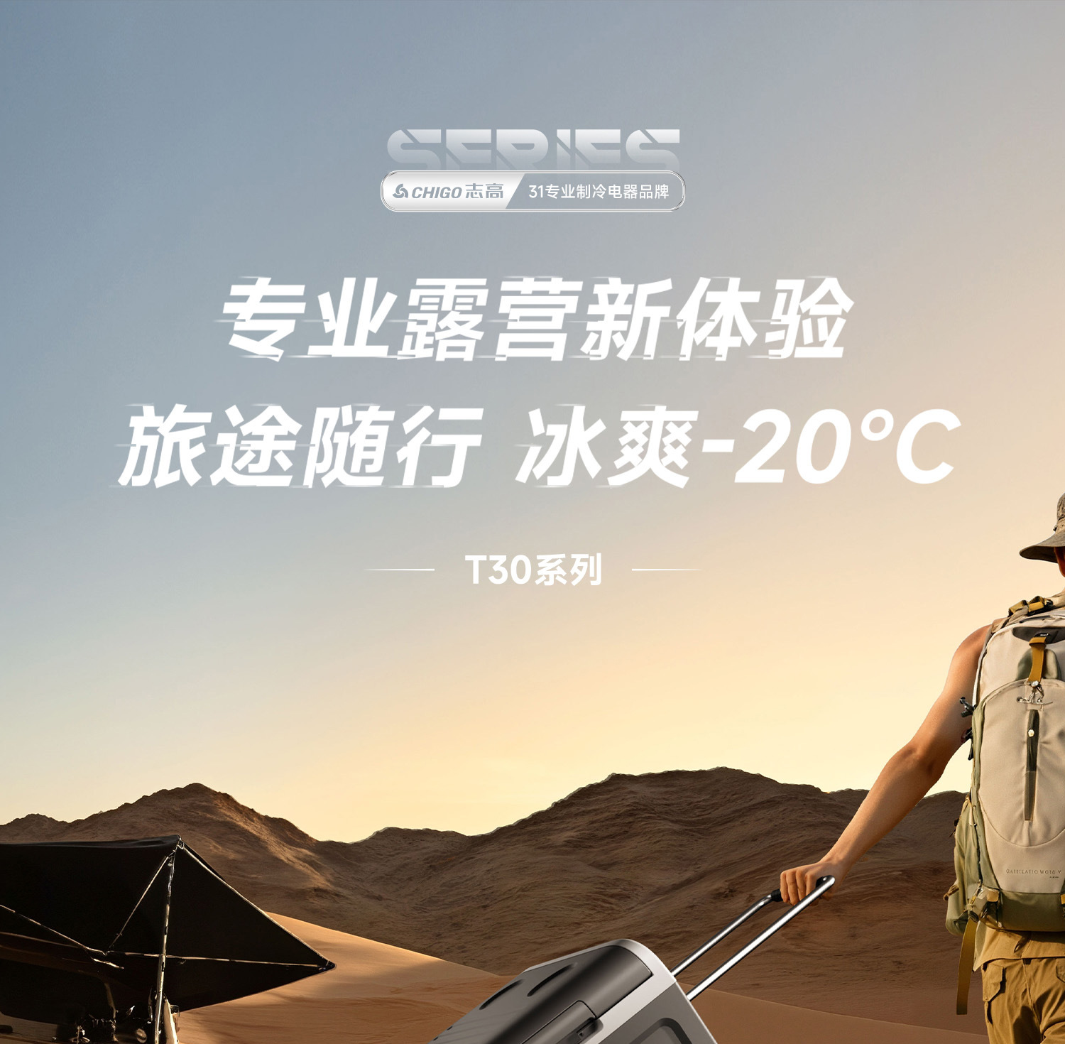 Chigo Car Refrigerator Compressor Cooling System 12V24V220V Dual-Use for Car and Home, Special Refrigerator for Refrigeration and Freezing in Trucks